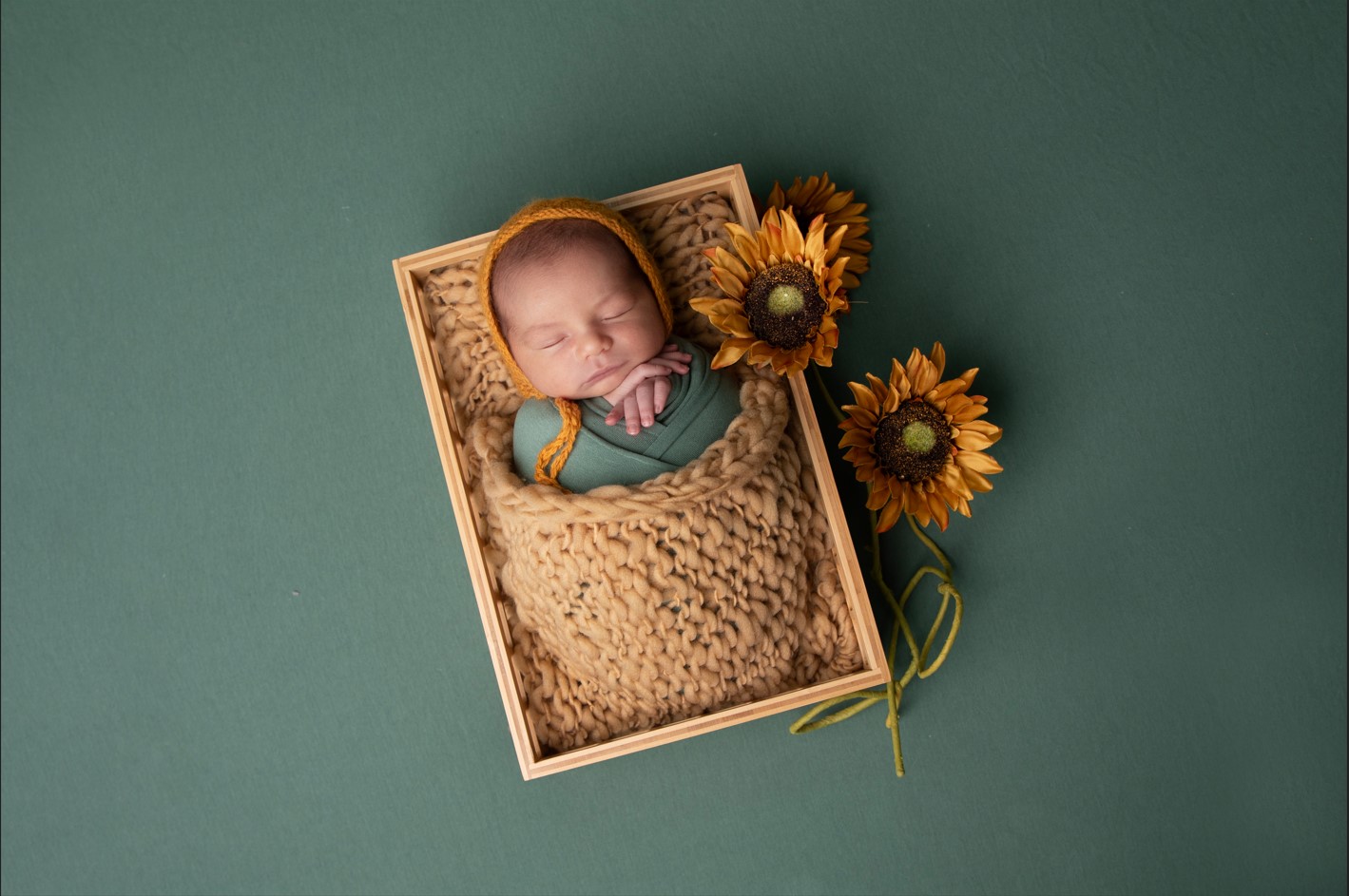 צילום מסך 2025-06-10 233153.jpg