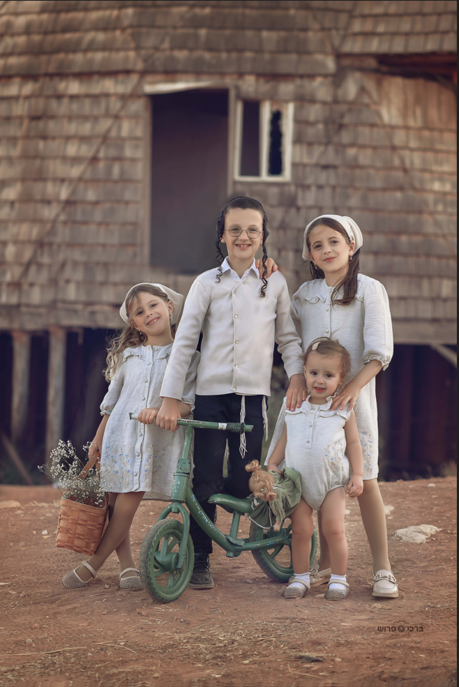 צילום מסך 2025-06-23 004132.png