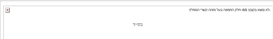 צילום מסך 2025-06-26 105158.jpg