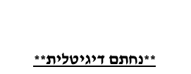 צילום מסך 2025-06-29 104353.png