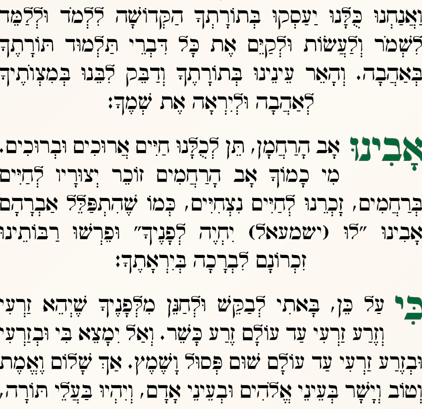 צילום מסך 2025-07-01 ב-12.15.48.png