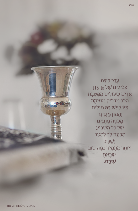 צילום מסך 2025-07-11 162925.png