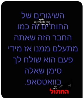 צילום מסך 2025-07-16 220827.png