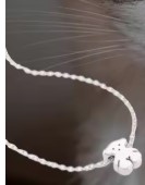 צילום מסך 2025-07-22 175221.jpg