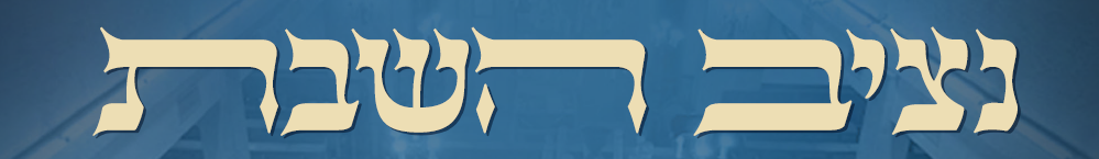 צילום מסך 2025-08-01 132845.png