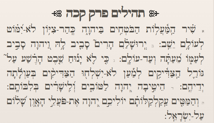 צילום מסך 2025-08-04 190407.png