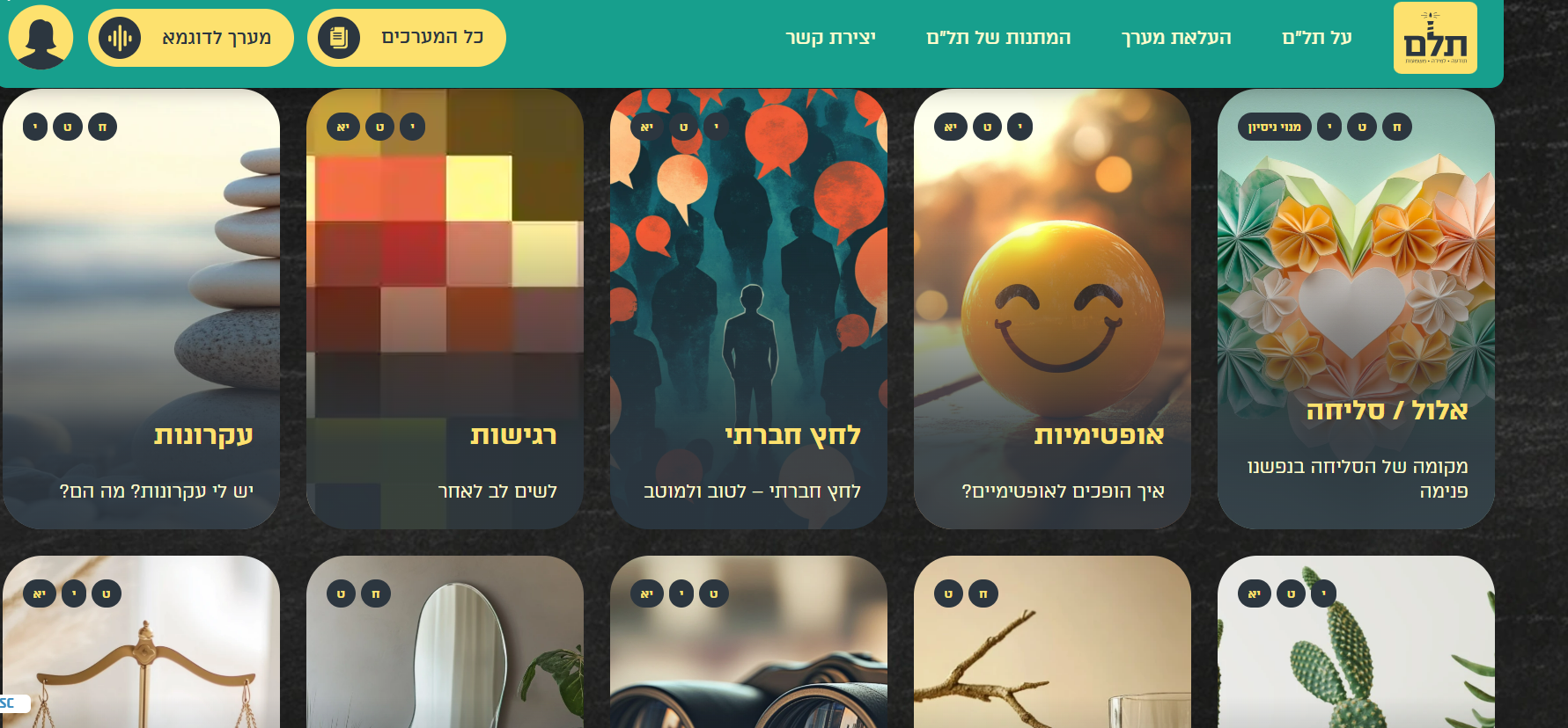 צילום מסך 2025-08-18 011656.png