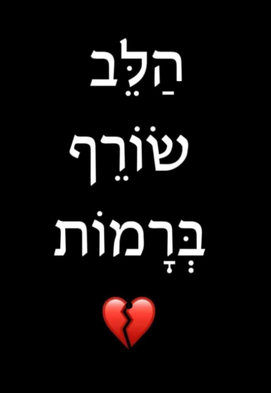 צילום מסך 2025-09-08 152830.png