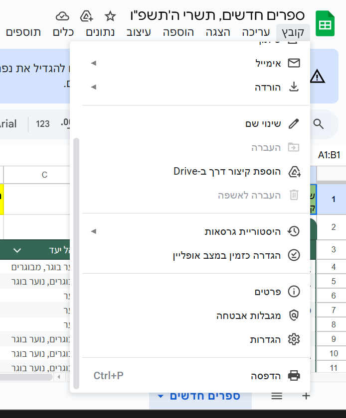 צילום מסך 2025-09-08 165545.png