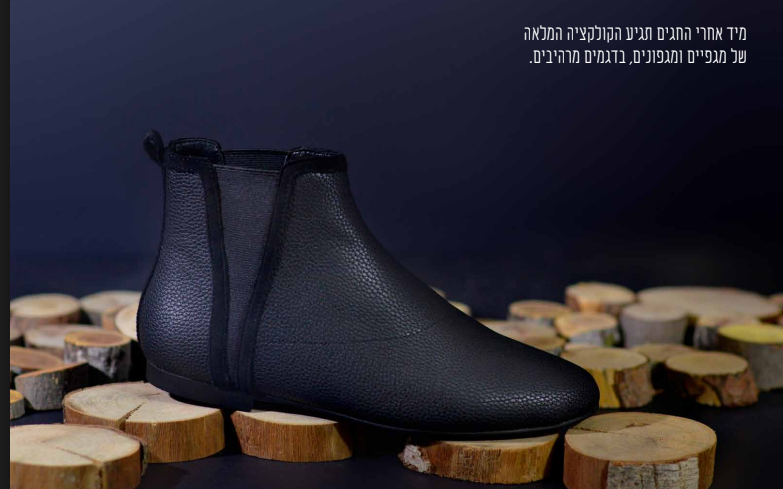 צילום מסך 2025-09-21 011450.png