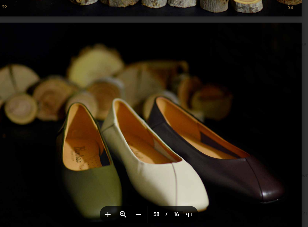 צילום מסך 2025-09-21 033716.png