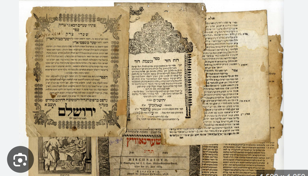 צילום מסך 2025-09-27 202943.png