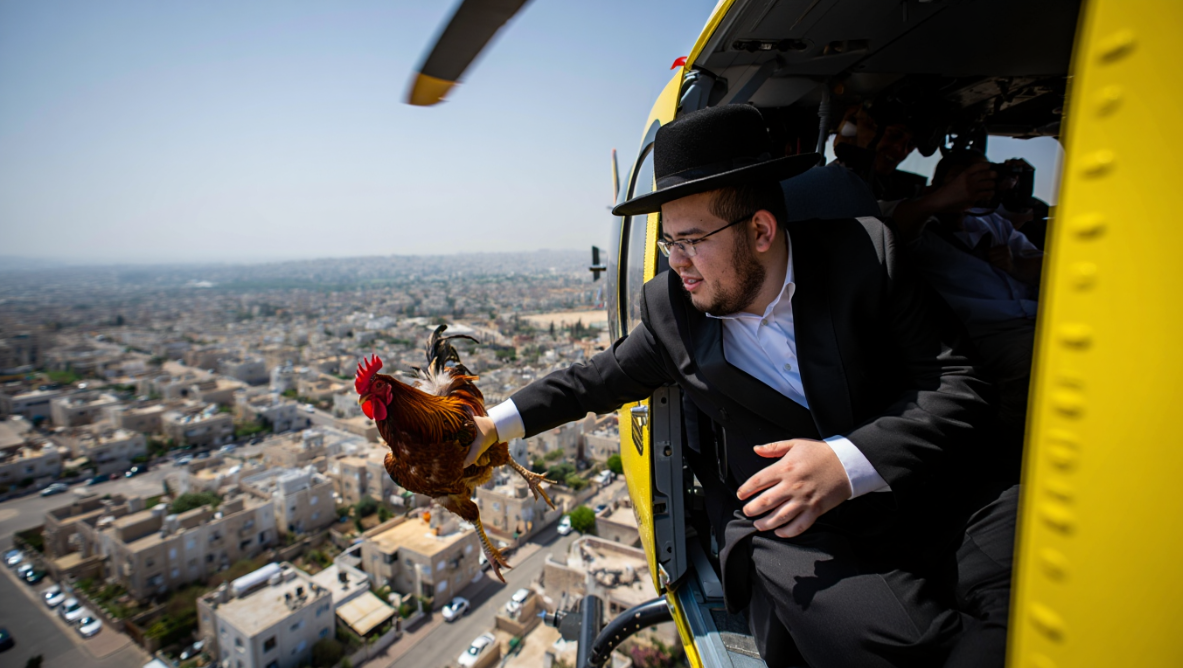 צילום מסך 2025-10-05 031140.png