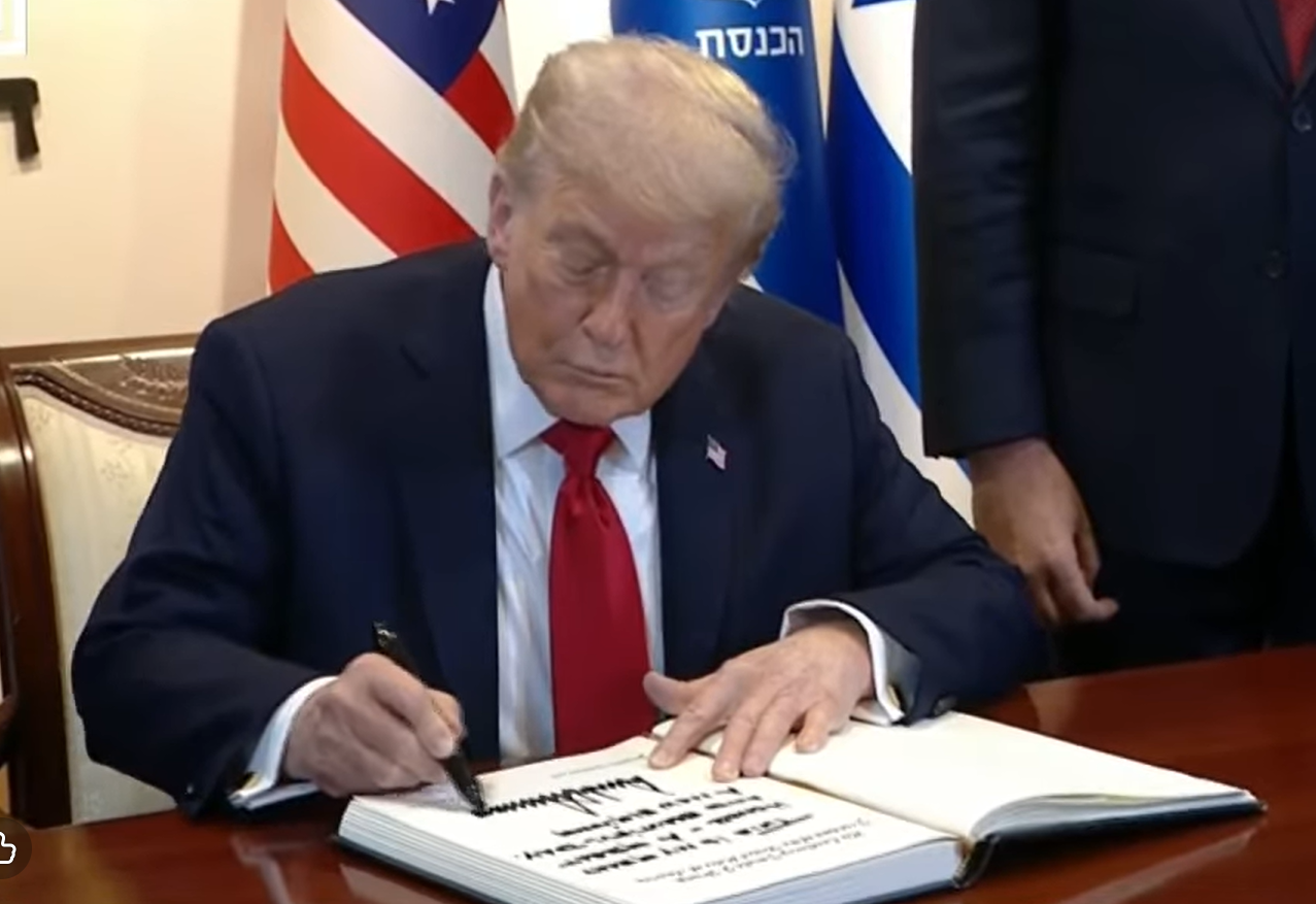 צילום מסך 2025-10-13 112749.png