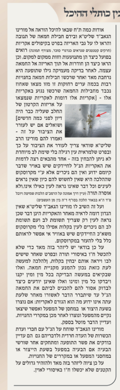 צילום מסך 2025-11-05 073211.png