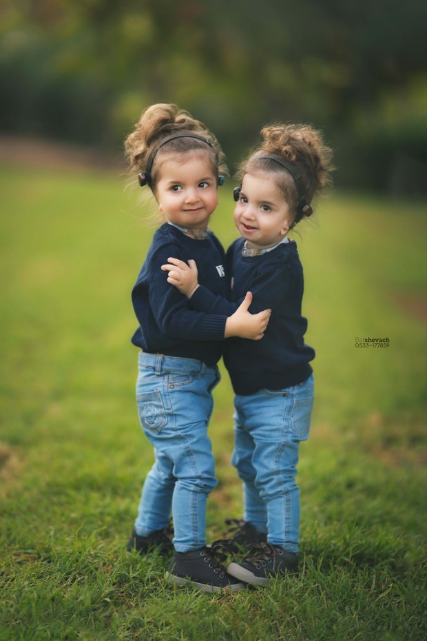 צילום מסך 2025-11-15 185523.jpg