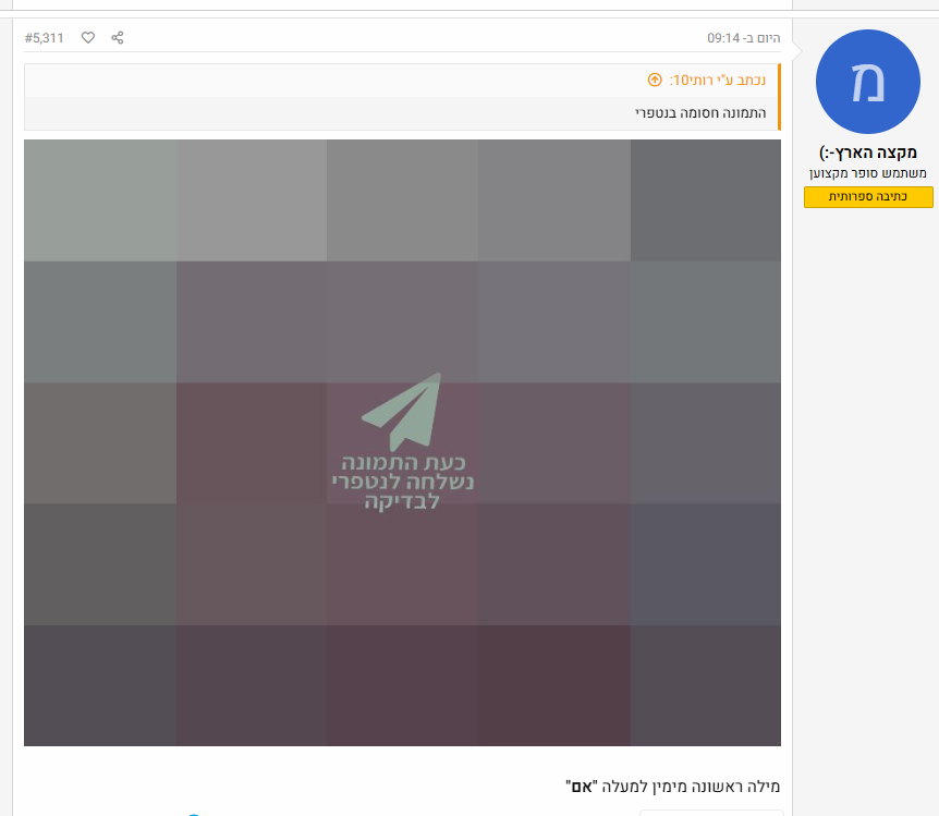 צילום מסך 2025-11-20 113204.png