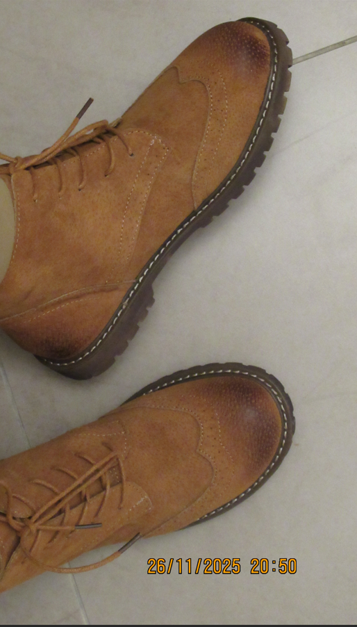 צילום מסך 2025-11-27 090836.png