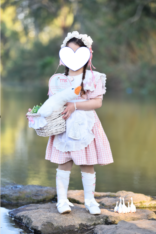 צילום מסך 2025-12-03 105738.png