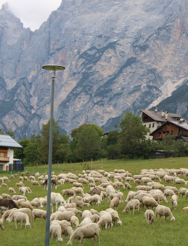 צילום מסך 2025-12-09 124011.png