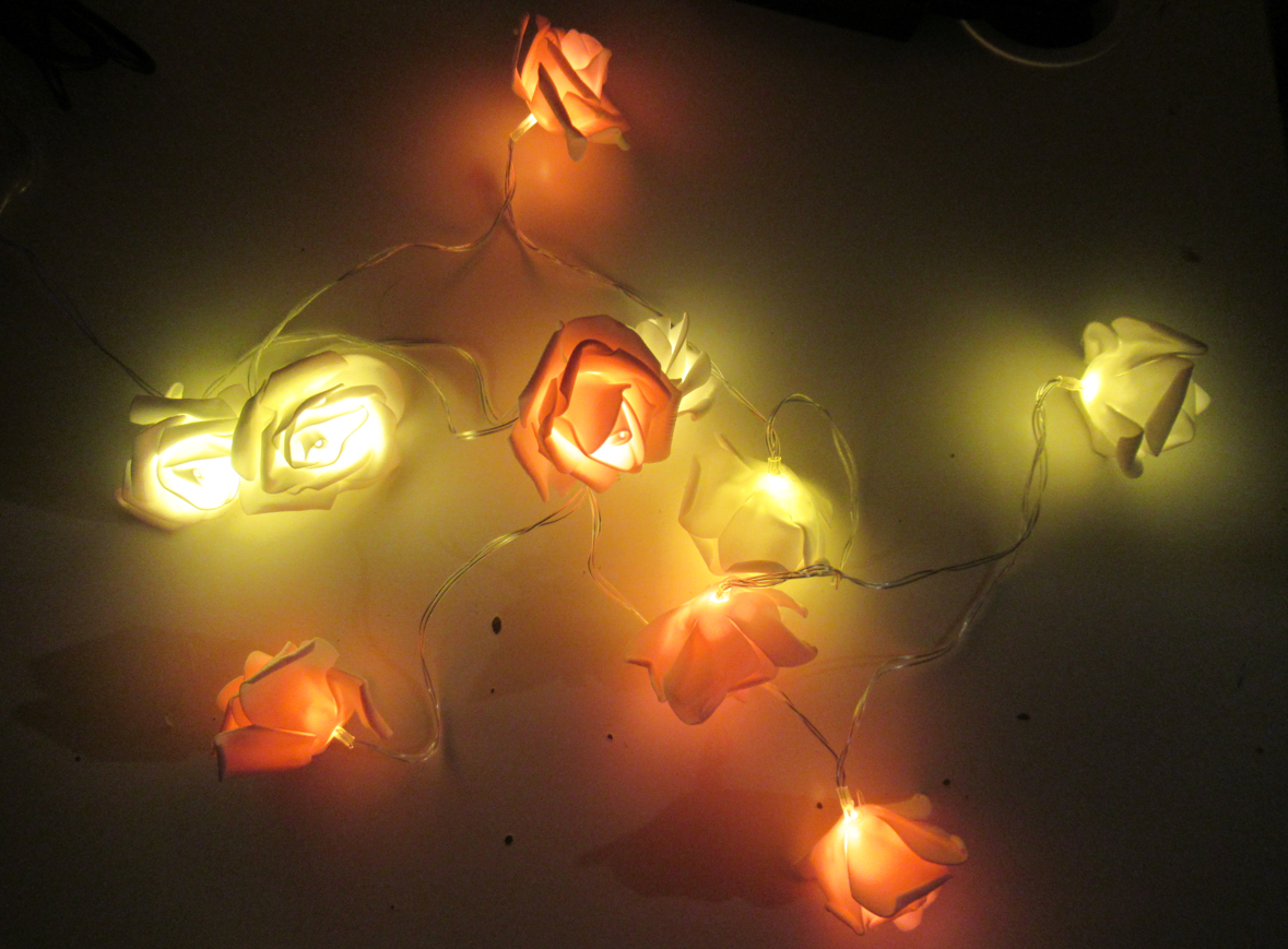 צילום מסך 2025-12-27 193705.png