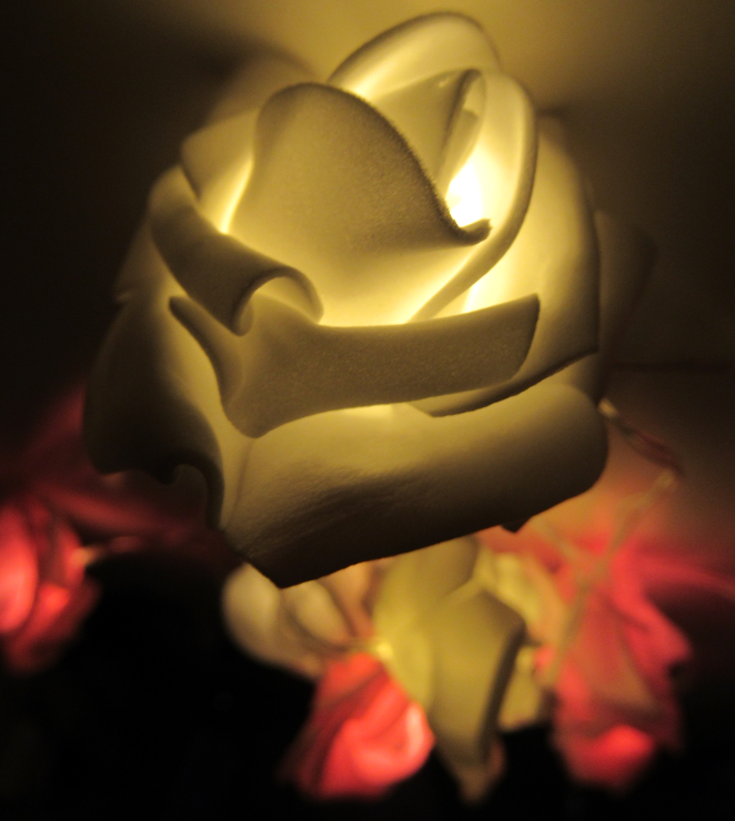 צילום מסך 2025-12-27 193717.png