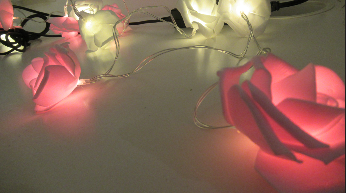 צילום מסך 2025-12-27 193747.png