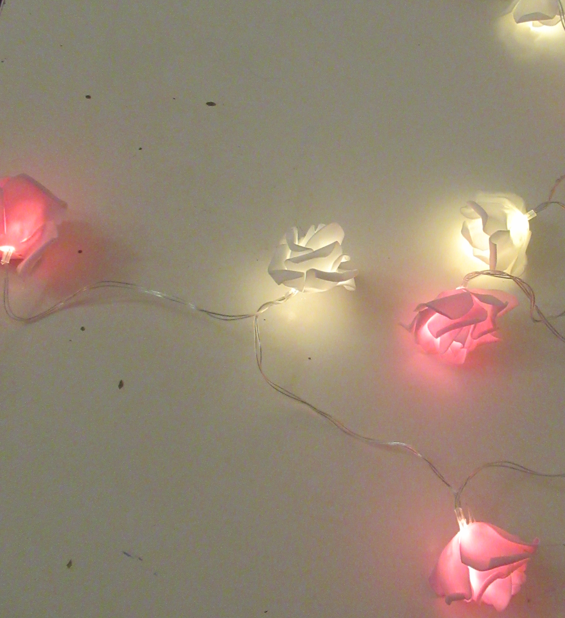 צילום מסך 2025-12-27 193814.png