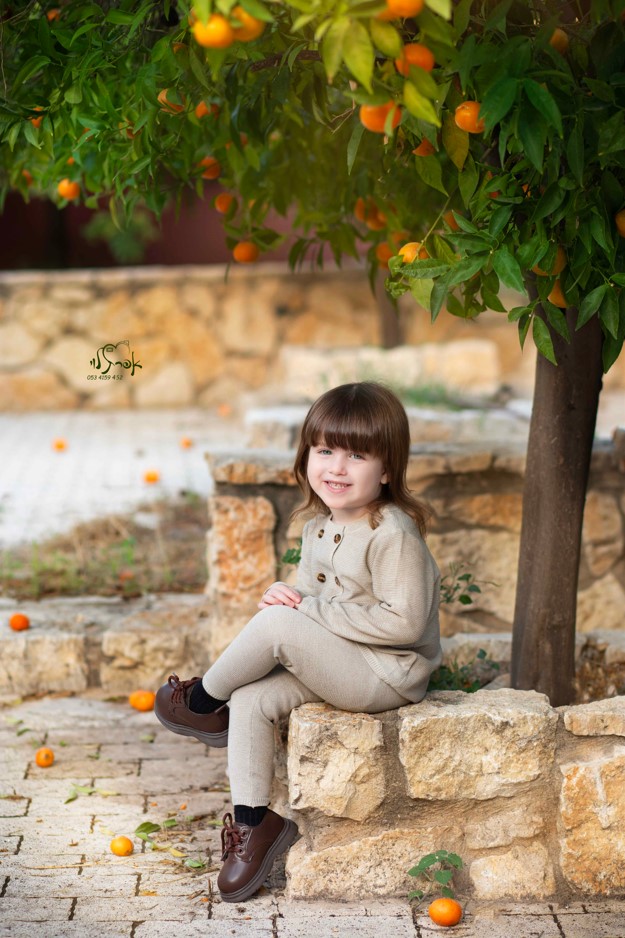 צילום מסך 2025-12-31 100812.jpg