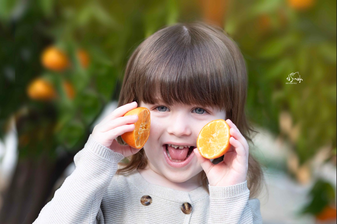 צילום מסך 2025-12-31 100939.jpg