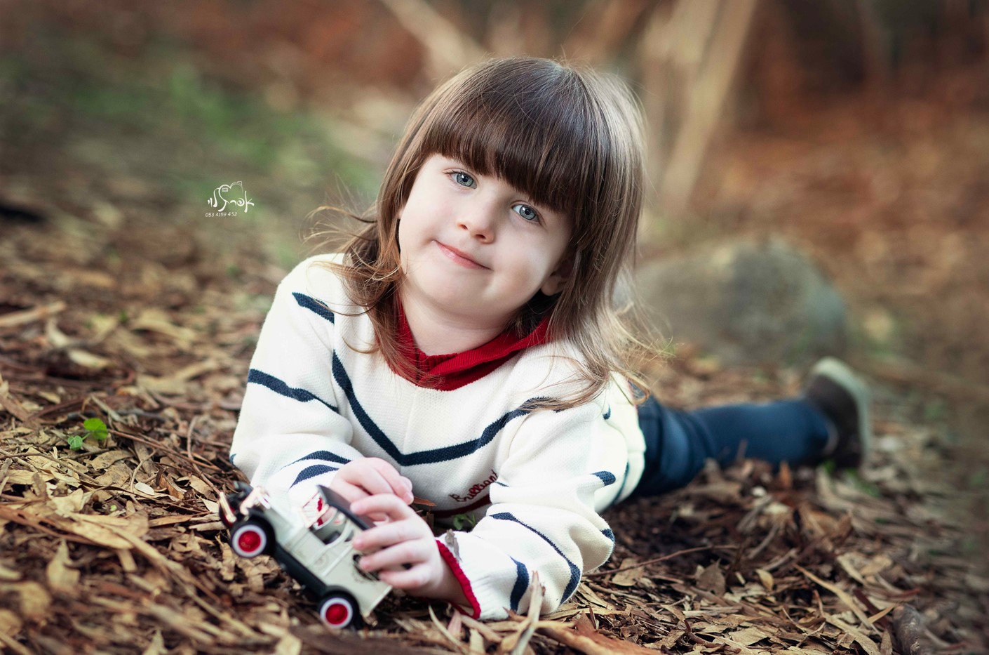 צילום מסך 2025-12-31 101017.jpg