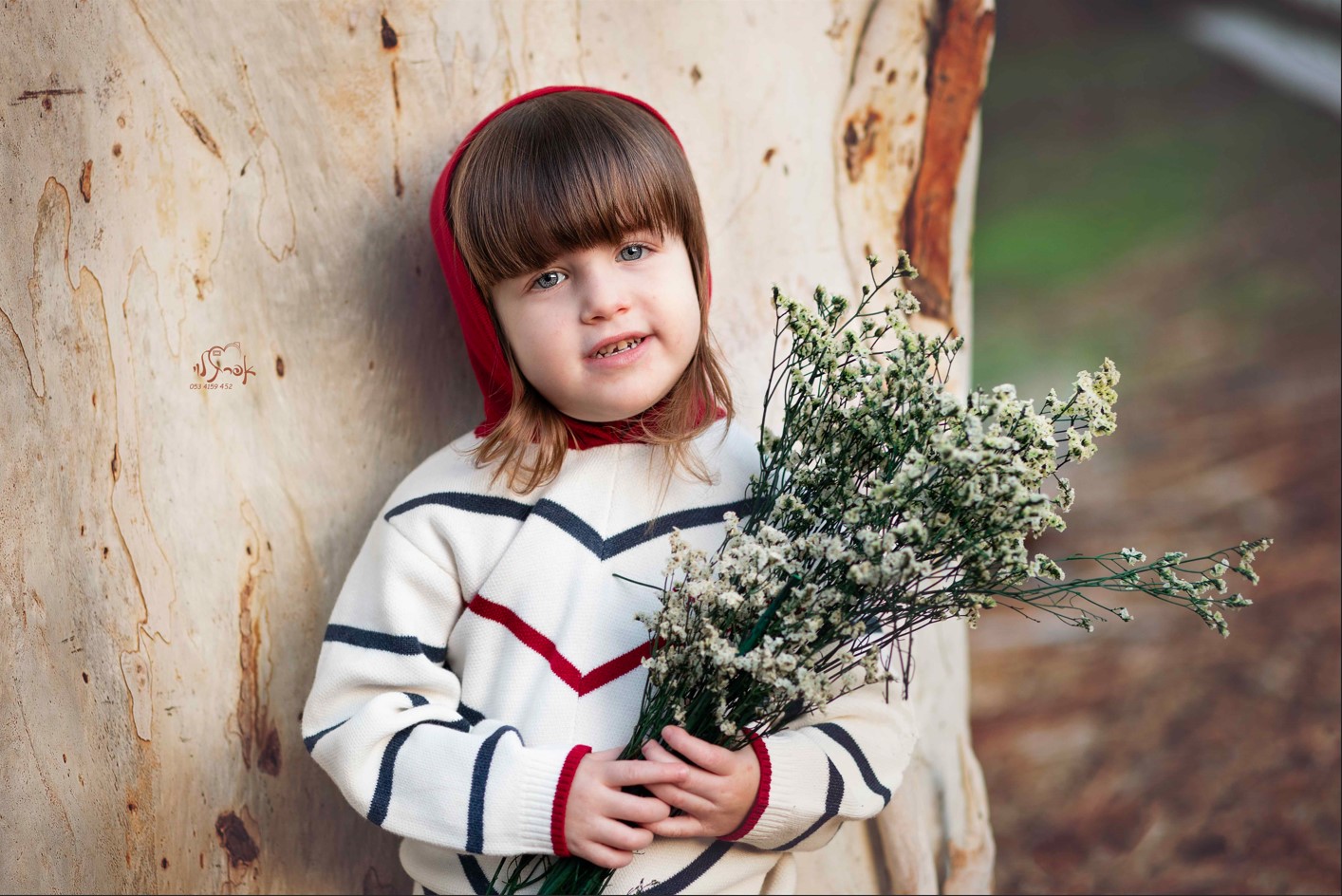 צילום מסך 2025-12-31 101033.jpg