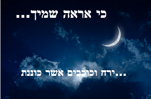 צילום מסך 2026-01-06 142613.png