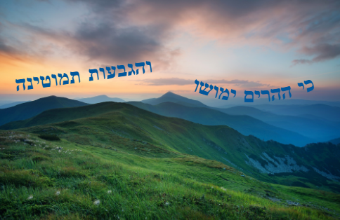 צילום מסך 2026-01-06 144202.png