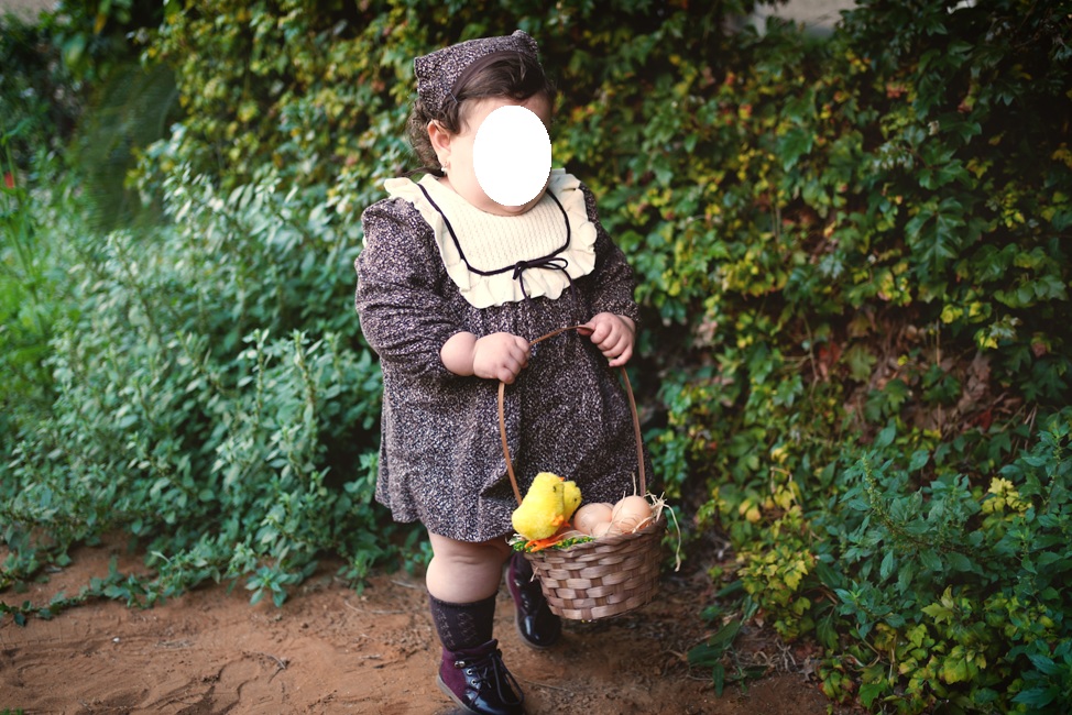 צילום מסך 2026-01-09 005238.jpg