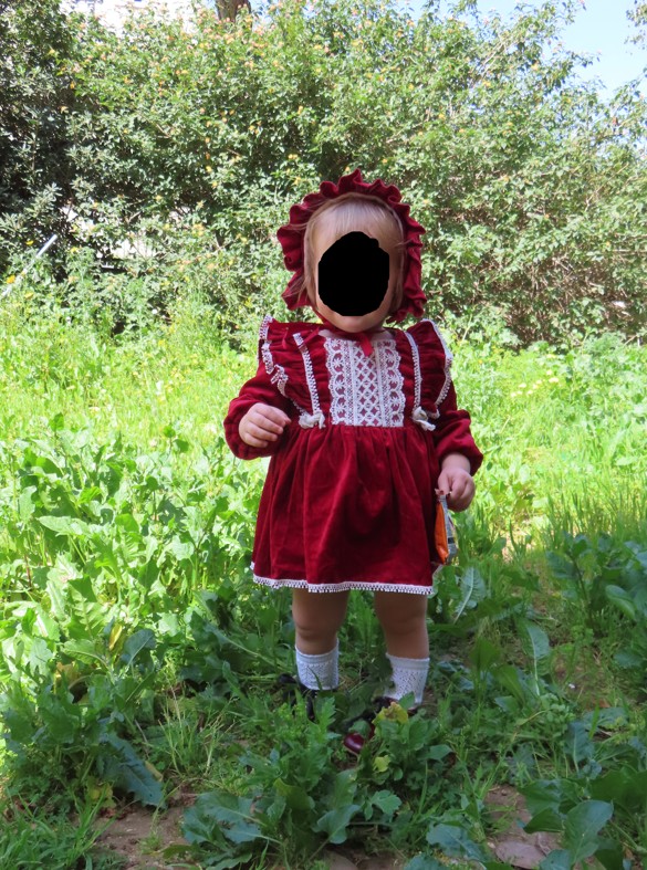 צילום מסך 2026-01-15 121007.JPG