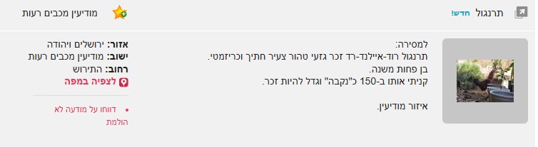 צילום מסך 2026-01-27 081911.jpg