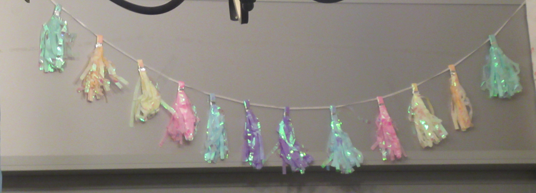 צילום מסך 2026-02-18 222837.png