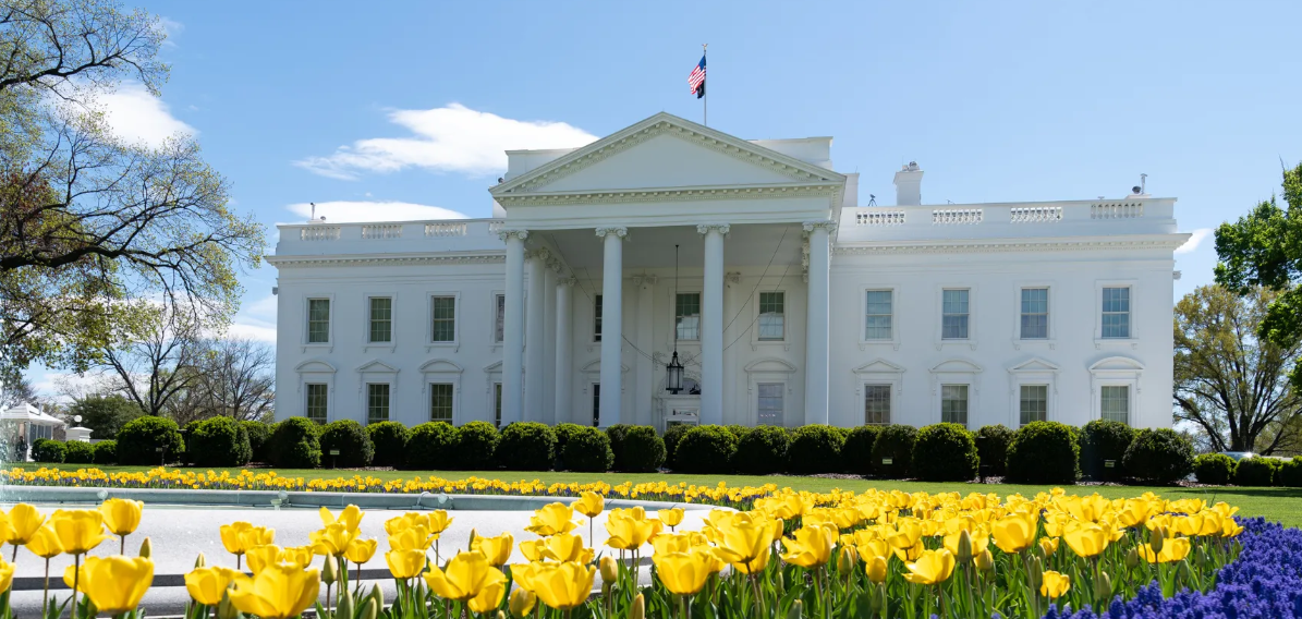 צילום מסך 2026-02-19 201922.png