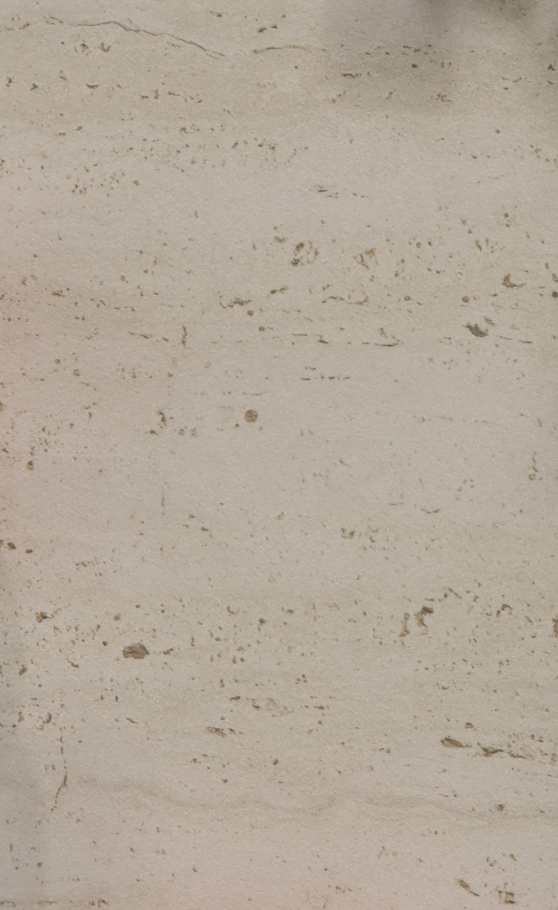 צילום מסך 2026-02-23 142027.png