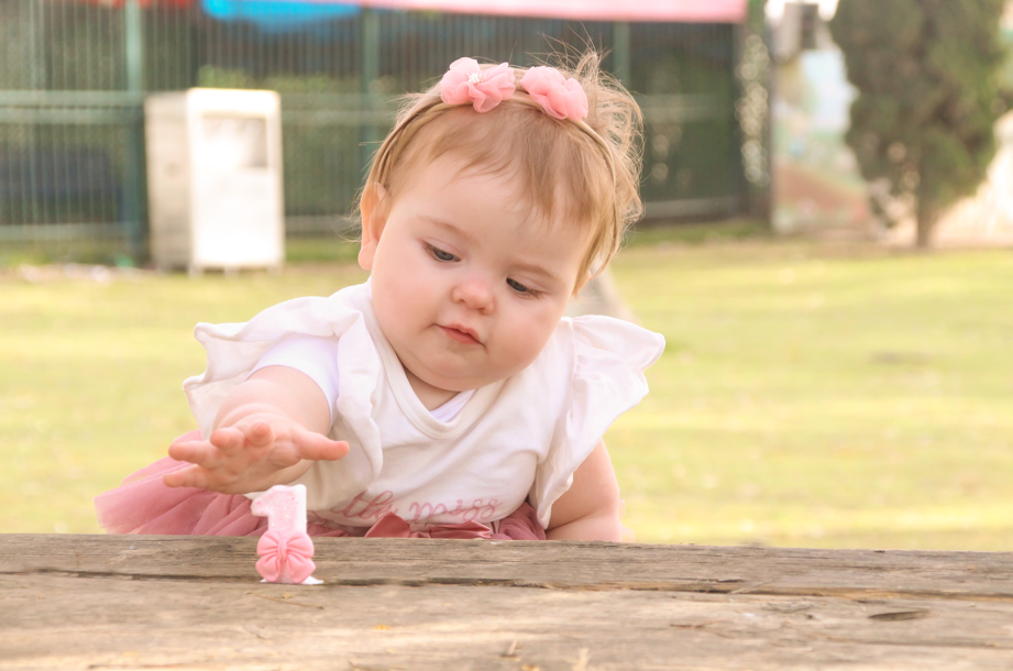 צילום מסך 2026-03-04 124604.png