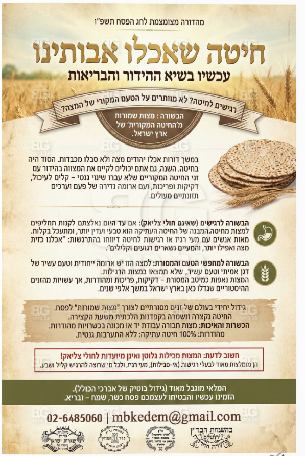 צילום מסך 2026-03-15 172957.png