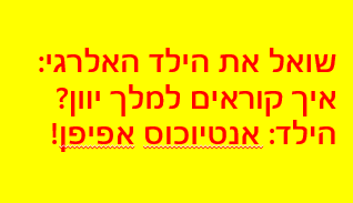 צילום מסך 2026-03-26 121045.png