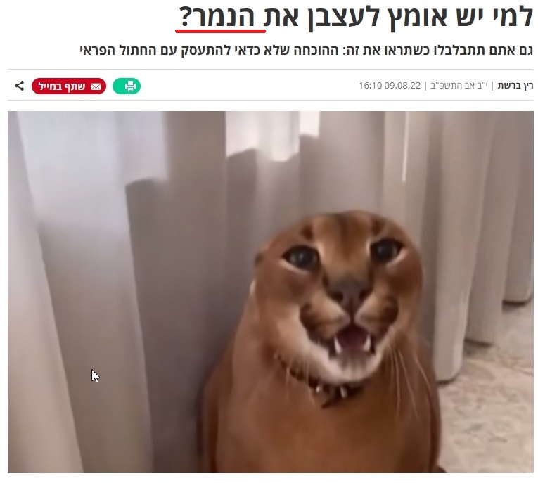  צילום מסך  21-21-02   11.08.2022.jpg