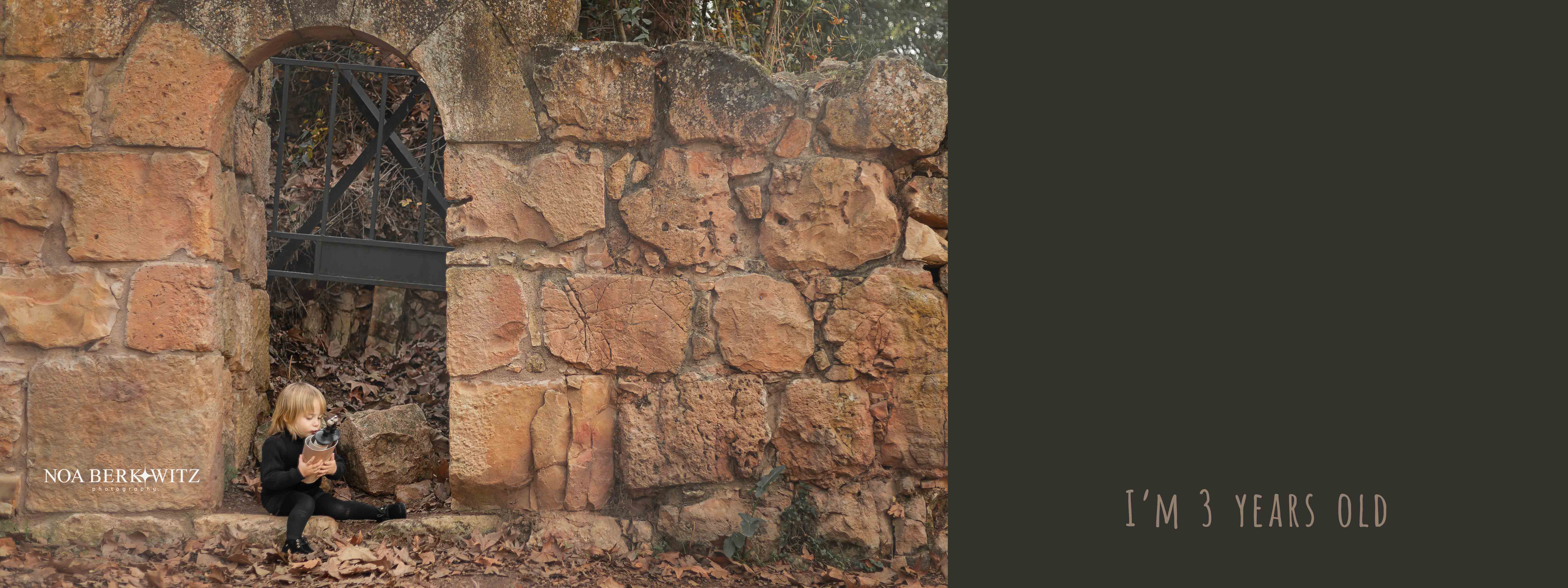 צילום נועה ברקוביץ 0548516993(10).jpg