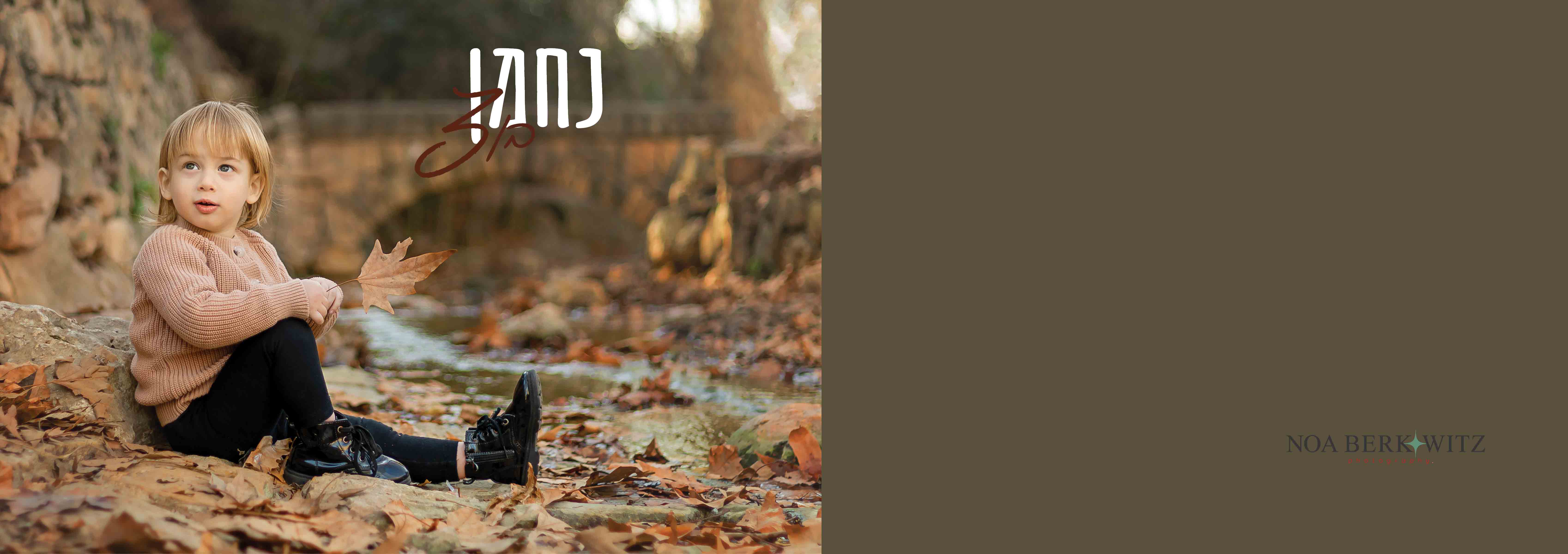 צילום נועה ברקוביץ 0548516993(11).jpg