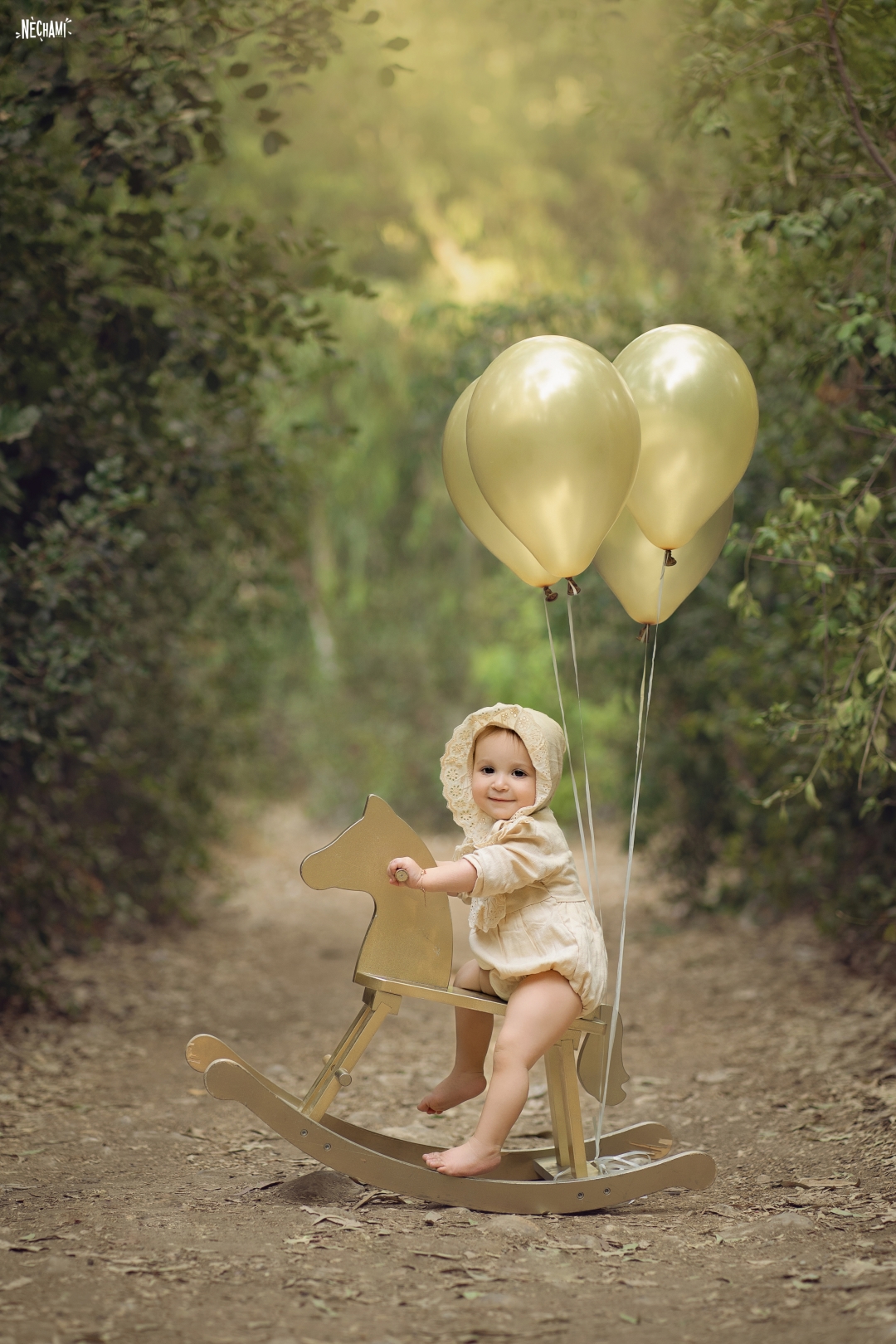 צילום נחמי פרקש 0556733034 (1).jpg