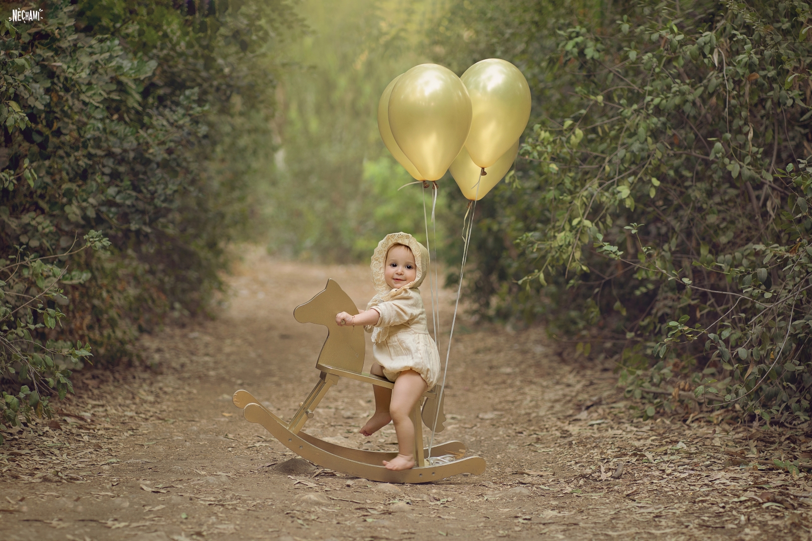 צילום נחמי פרקש 0556733034 (2).jpg