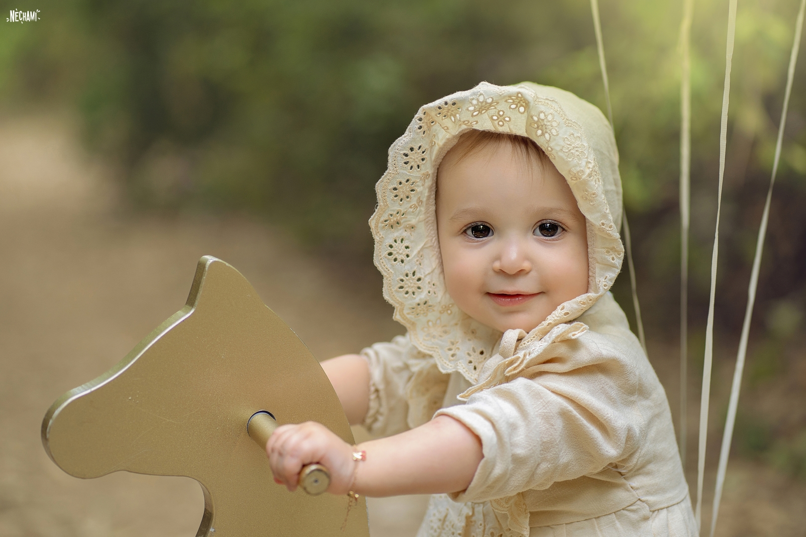 צילום נחמי פרקש 0556733034 (3).jpg