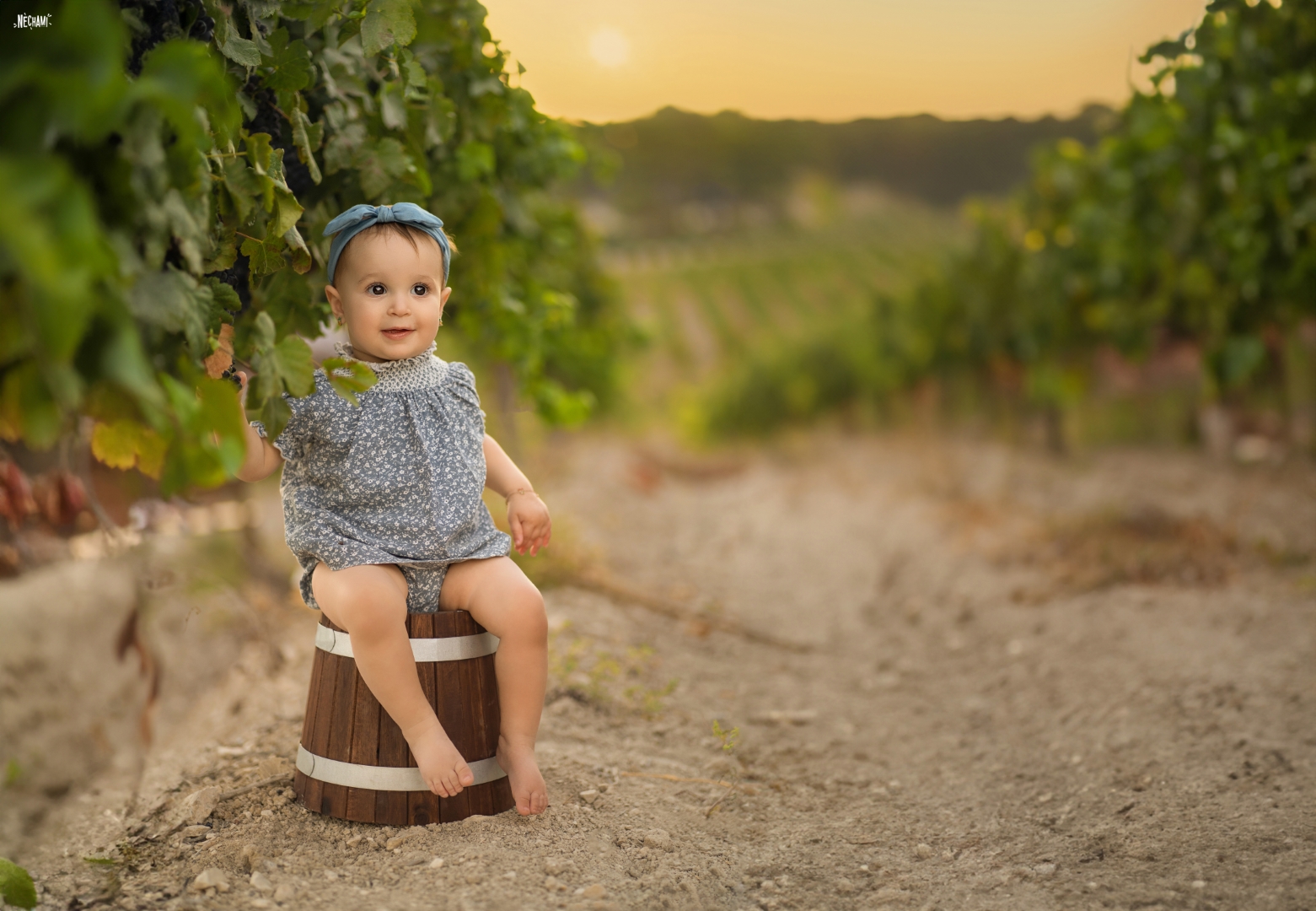 צילום נחמי פרקש 0556733034 (4).jpg